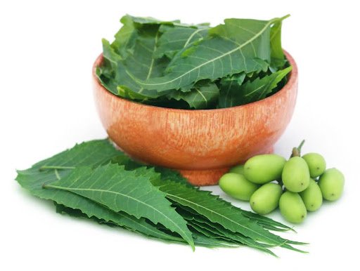 Neem immune support
